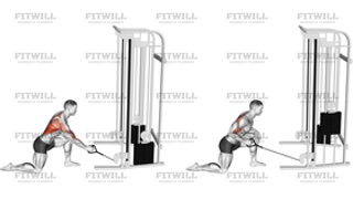 Cable Kneeling Leaning Forward One-Arm Row