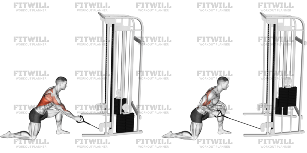 Cable Kneeling Leaning Forward One-Arm Row: Exercise Guide, Techniques ...