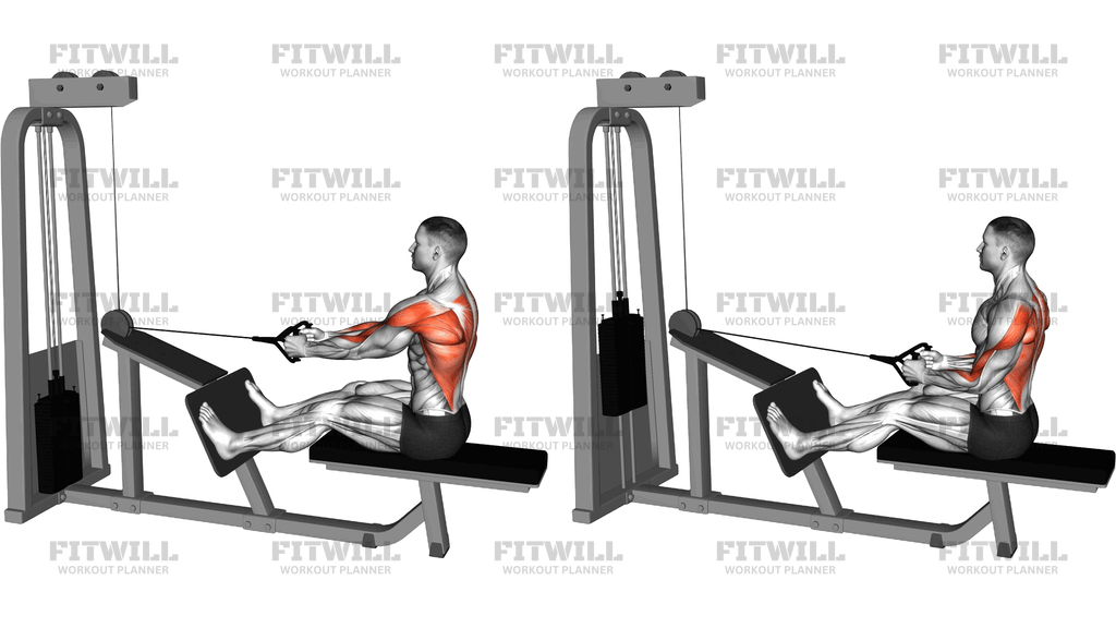 Cable Seated Lats Focused Row