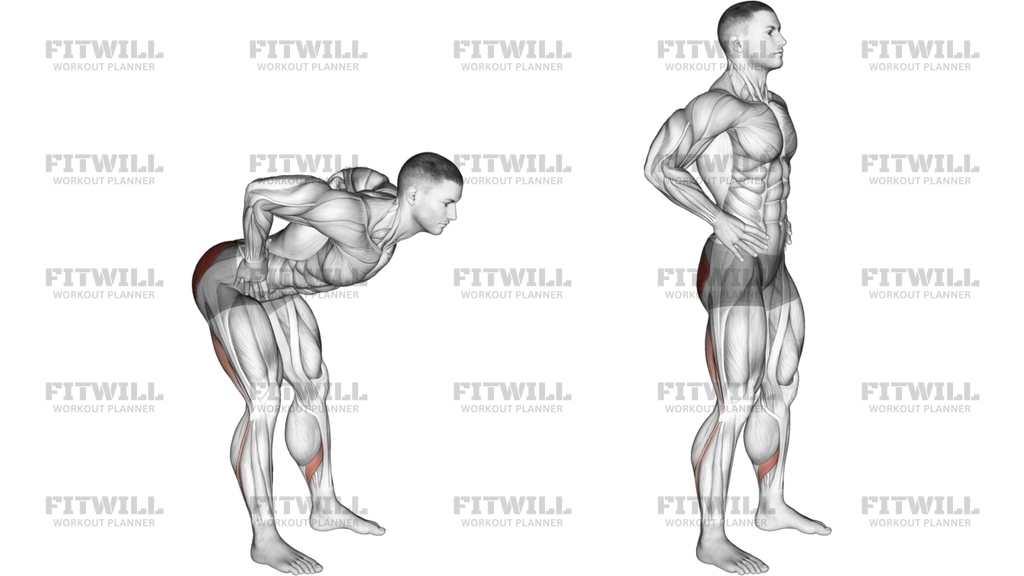 Bodyweight Good Morning