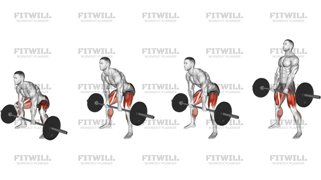 Barbell Paused Sumo Deadlift