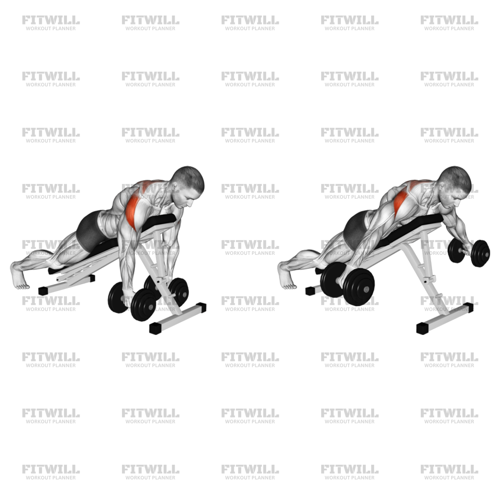 Prone rear delt raise sale