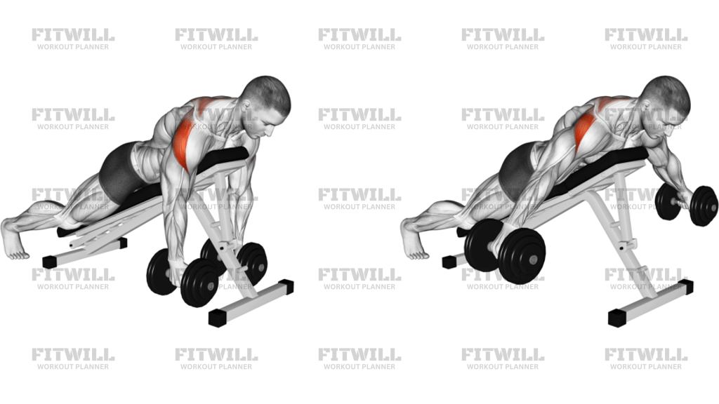 Dumbbell Prone Rear Delt Swing