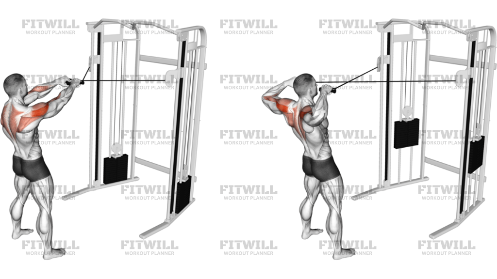 Cable Standing Face Pull