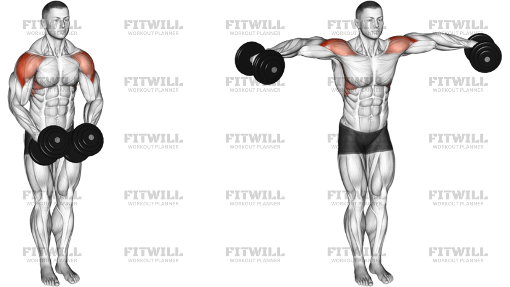 Dumbbell Standing Bent Arm Lateral Raise