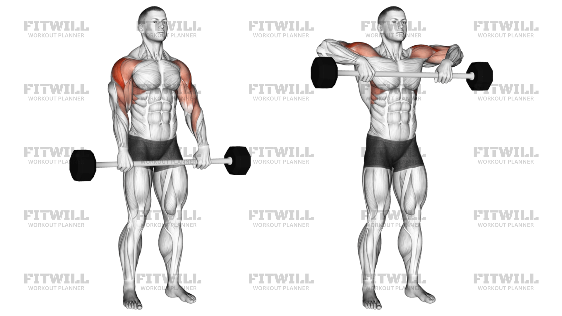 Barbell Shoulder Grip Upright Row Exercise Guide Techniques Benefits How to Muscles Worked Tips Tricks Fitwill