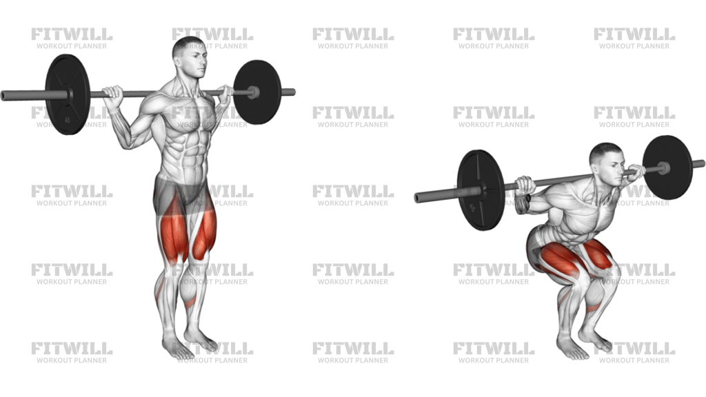 Barbell Narrow Stance Squat