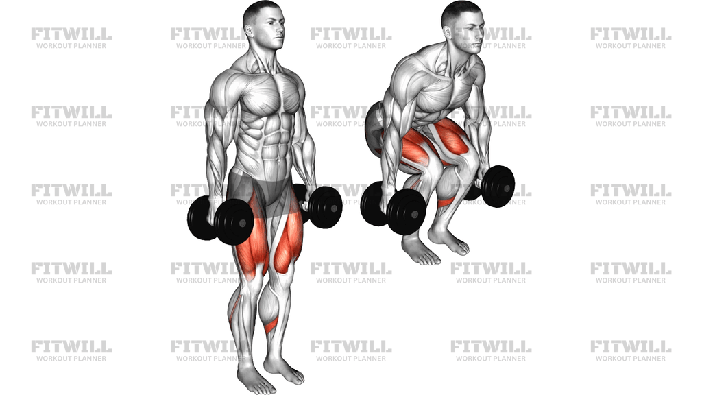 Dumbbell Narrow Stance Squat