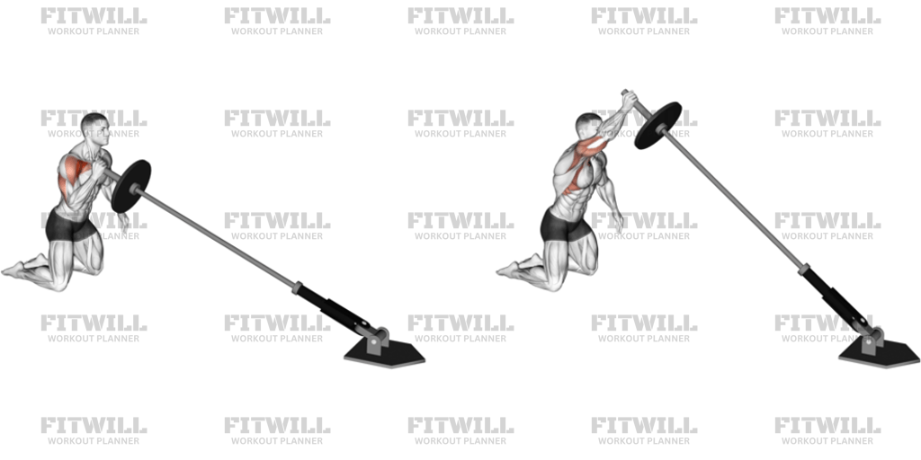 Landmine Kneeling One Arm Shoulder Press (VERSION 2): Guide, Techniques ...