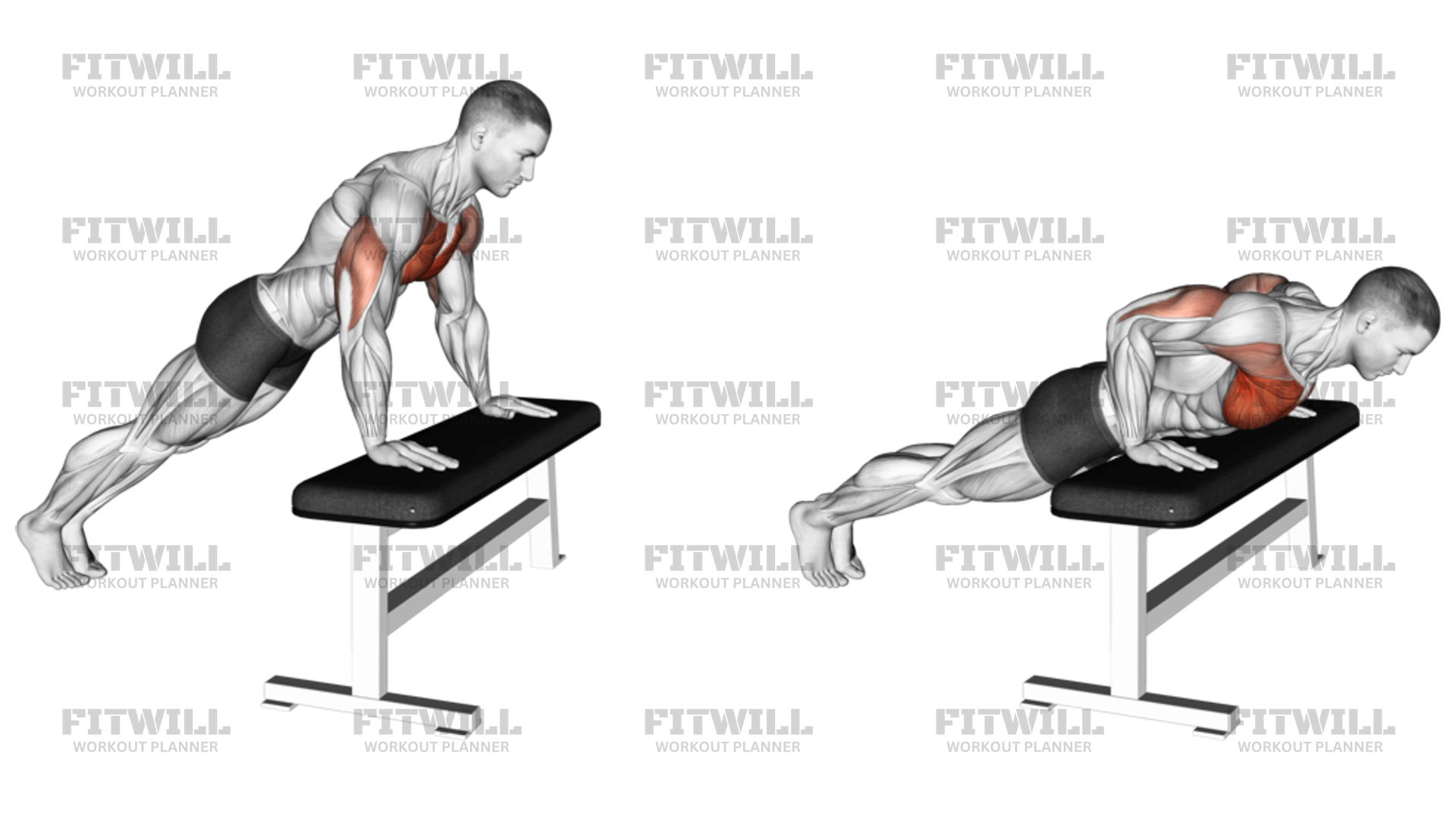 Incline push up bench hotsell