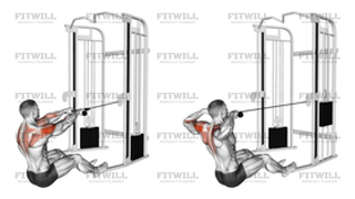 Cable Rope Seated Face Pull