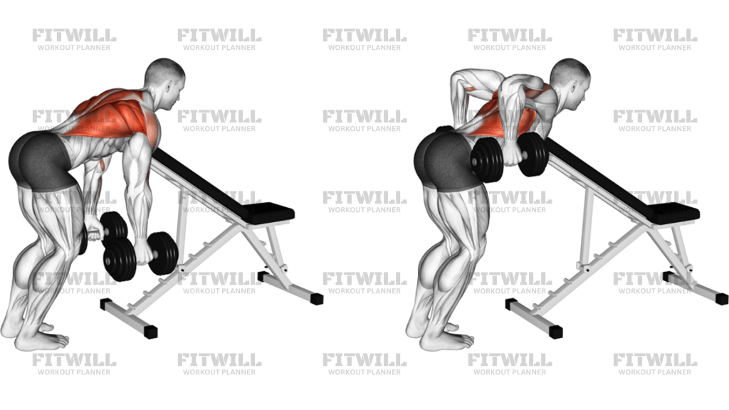Dumbbell Bent-Over Row With Chest Support