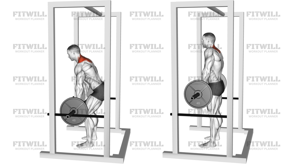 Barbell Power Shrug