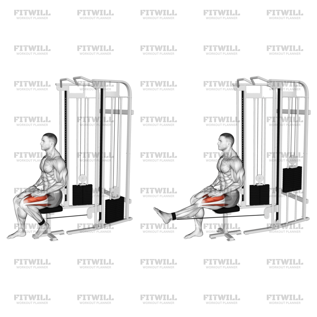 Seated cable leg extension sale