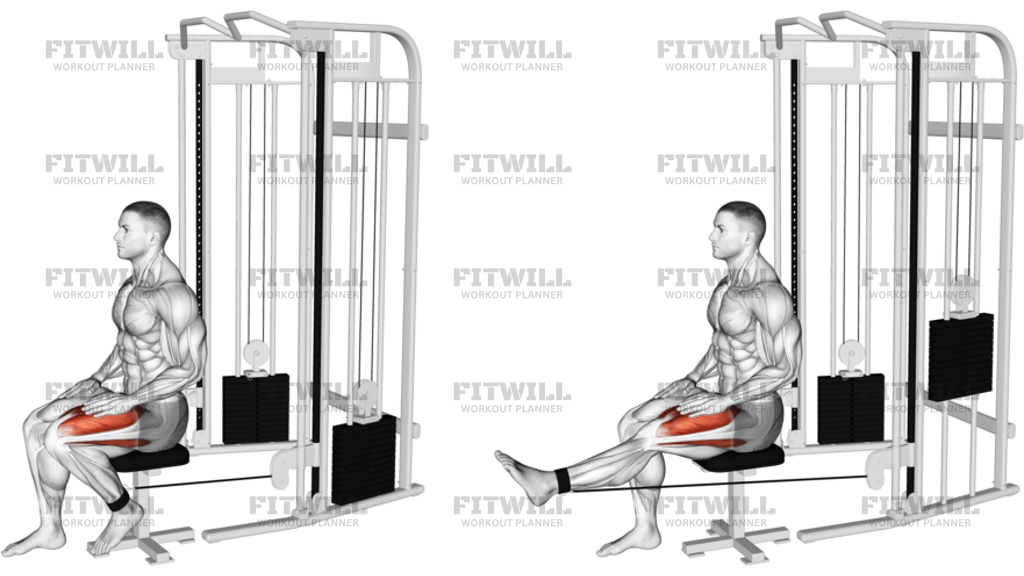 Cable Seated Leg Extension