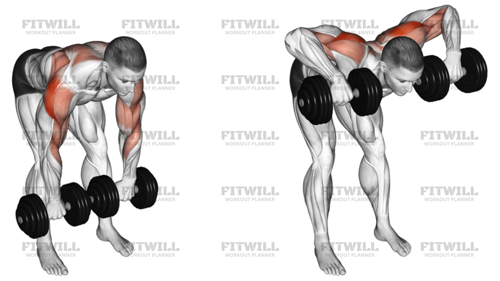 Dumbbell Bent-Over Face Pull