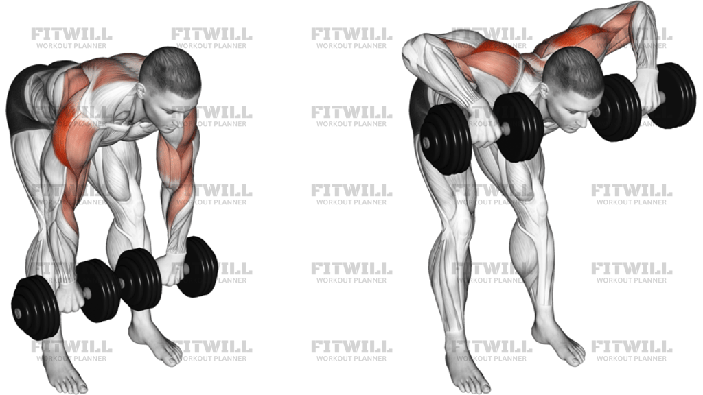 Dumbbell Bent-Over Face Pull