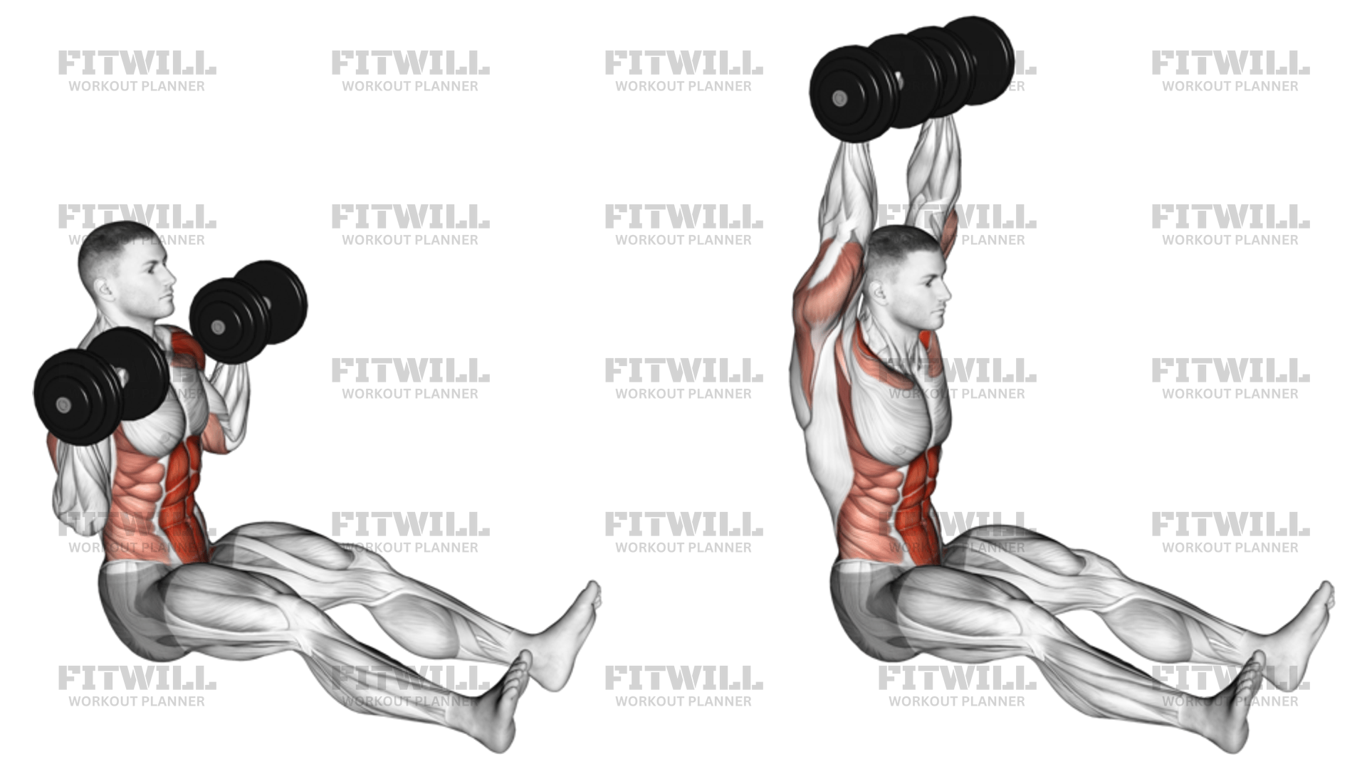 Dumbbell z press online