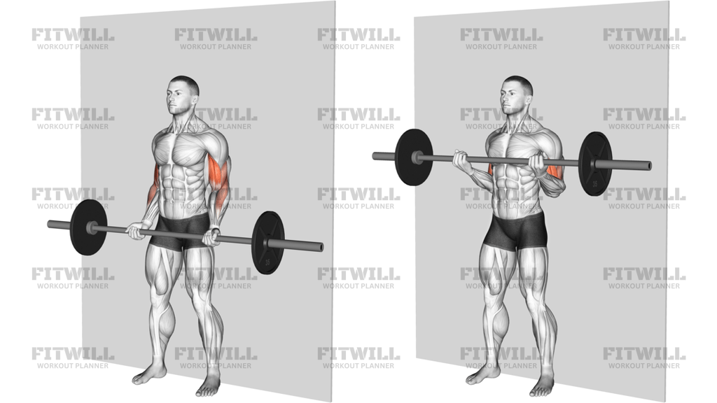 Barbell Srtict Curl