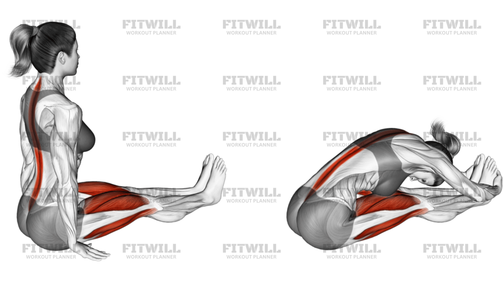 Lean Forward Stretch
