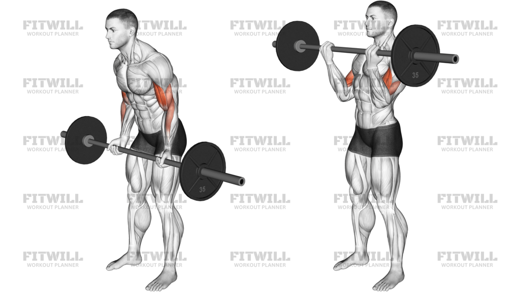 Cheat Curl