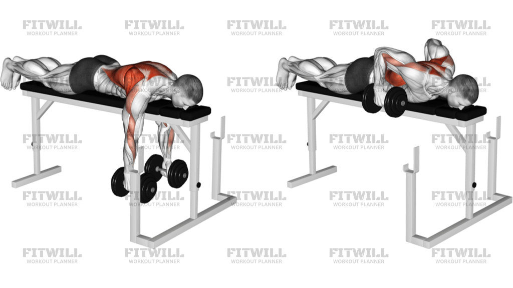 Dumbbell Lying Row On Rack