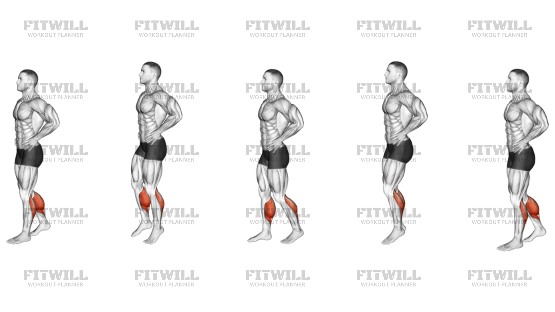 Bodyweight Walking Calf Raise Exercise Guide Video Techniques Benefits How to Muscles Worked Tips Tricks Fitwill