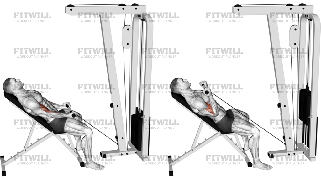 Cable Incline Biceps Curl