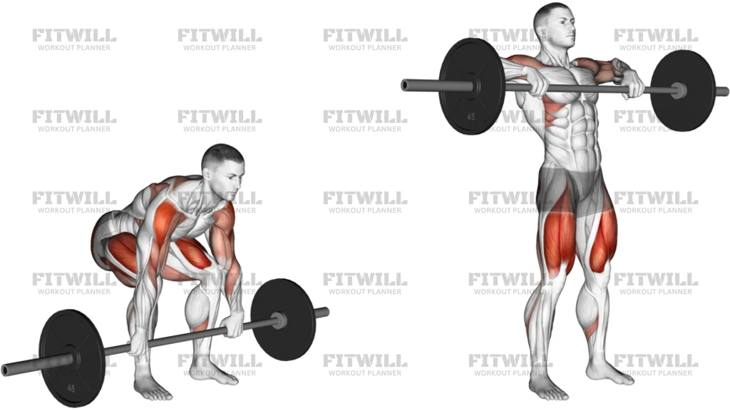 Barbell Clean High Pull
