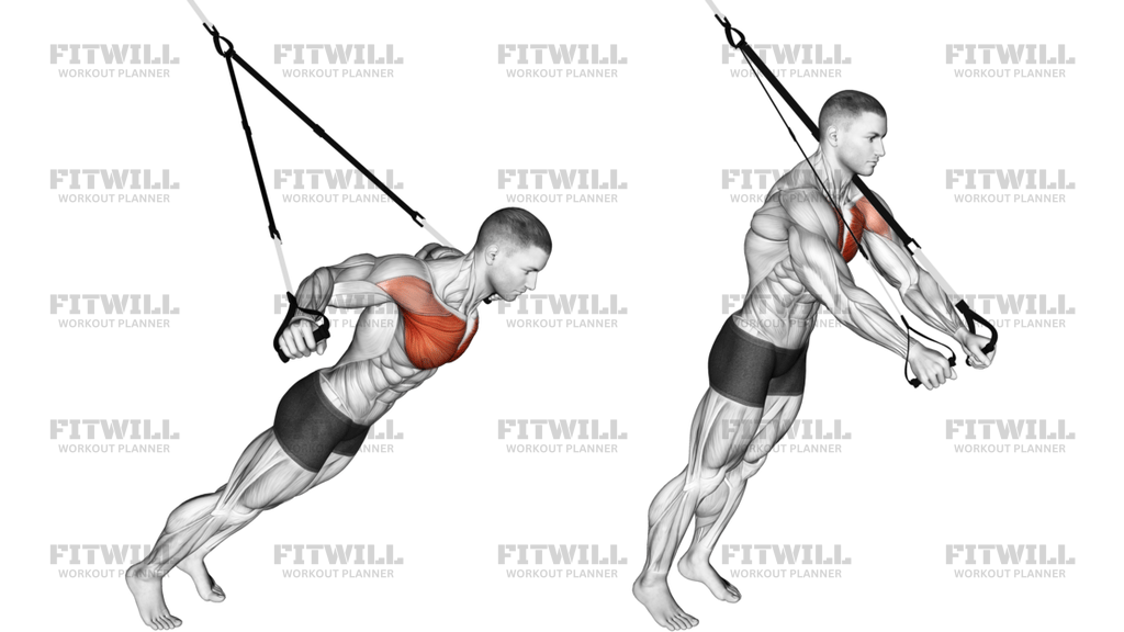 Suspension Fly