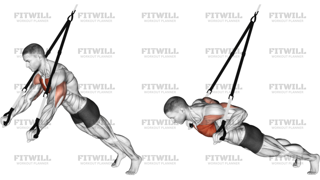 Suspension Chest Press