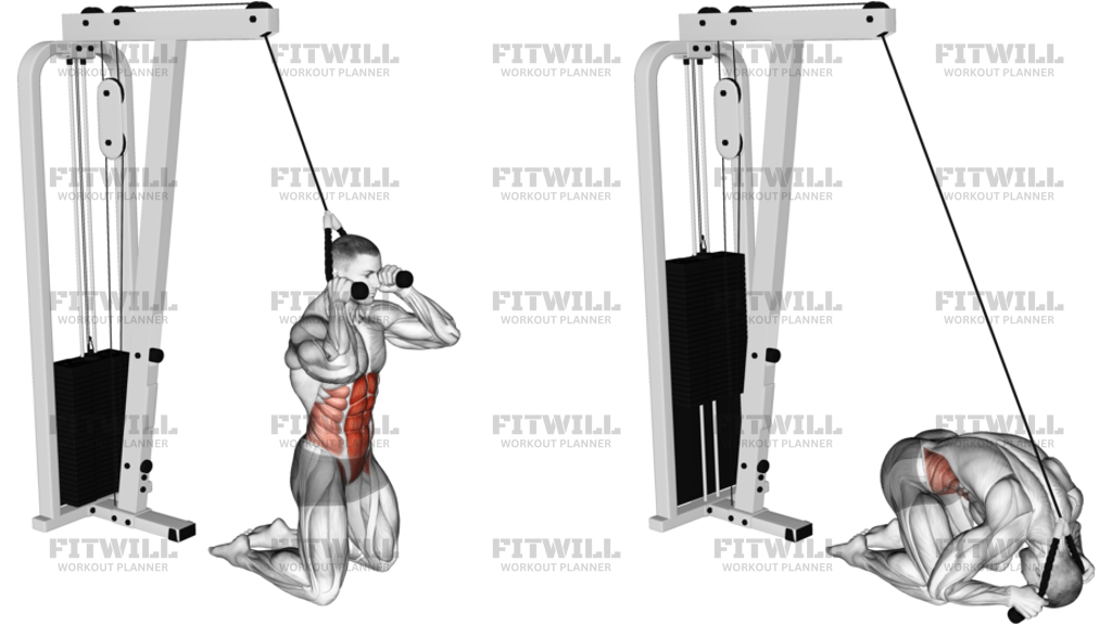 Cable Rope Kneeling Crunch
