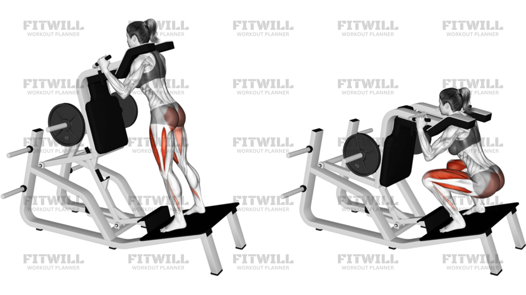 Lever Reverse Vertical Hack Squat