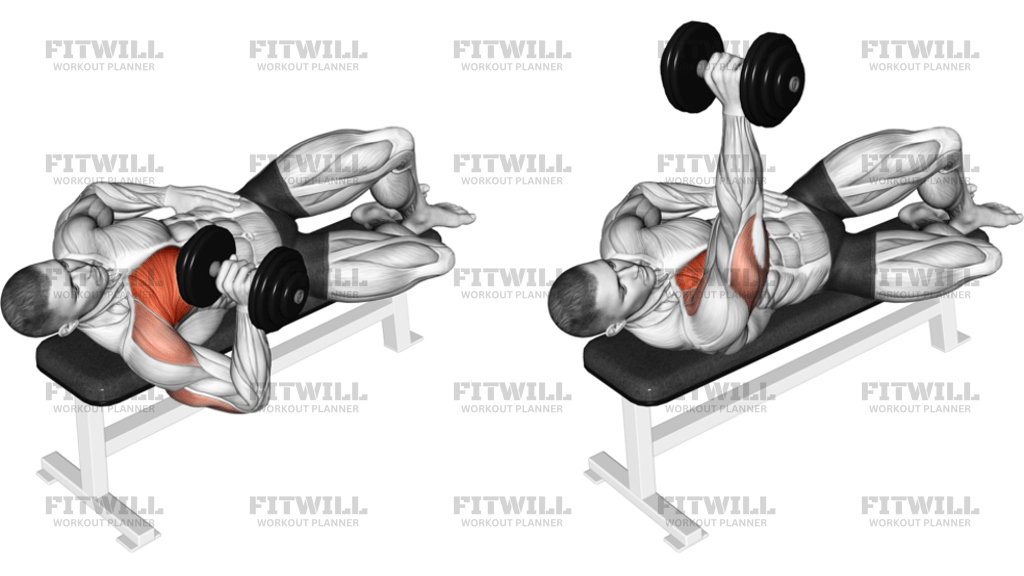 Dumbbell One-Arm Side Lying Bench Press