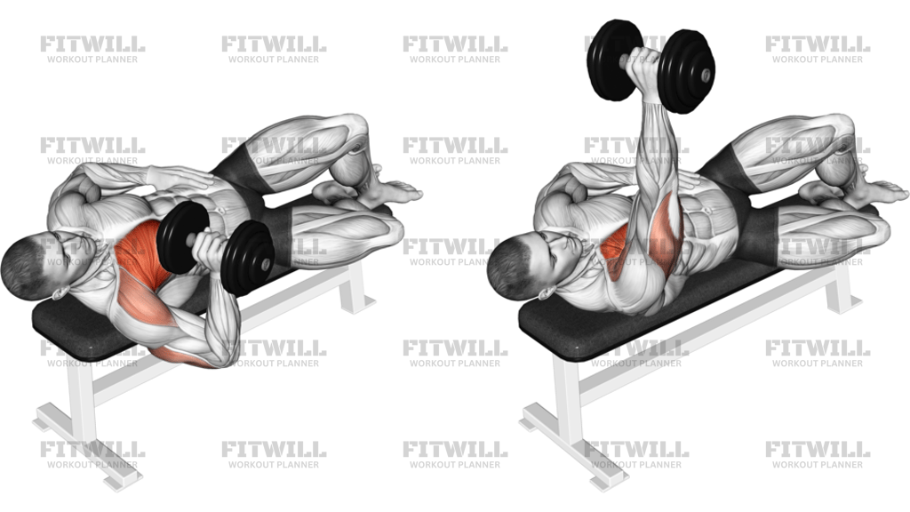 Dumbbell One-Arm Side Lying Bench Press