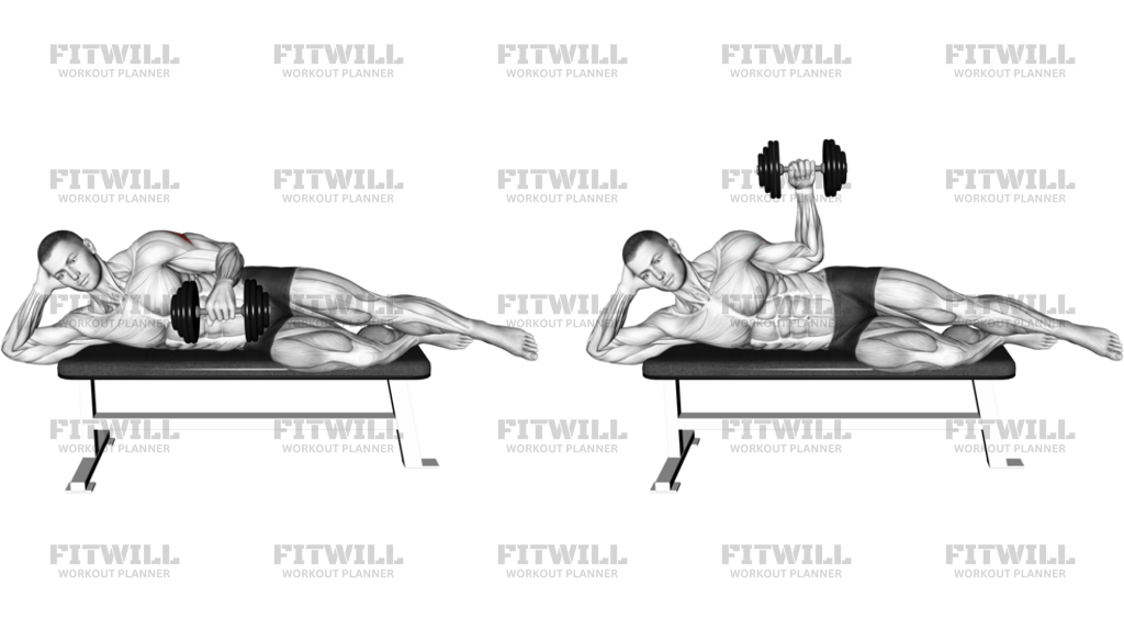 Dumbbell Side Lying External Rotation On A Bench