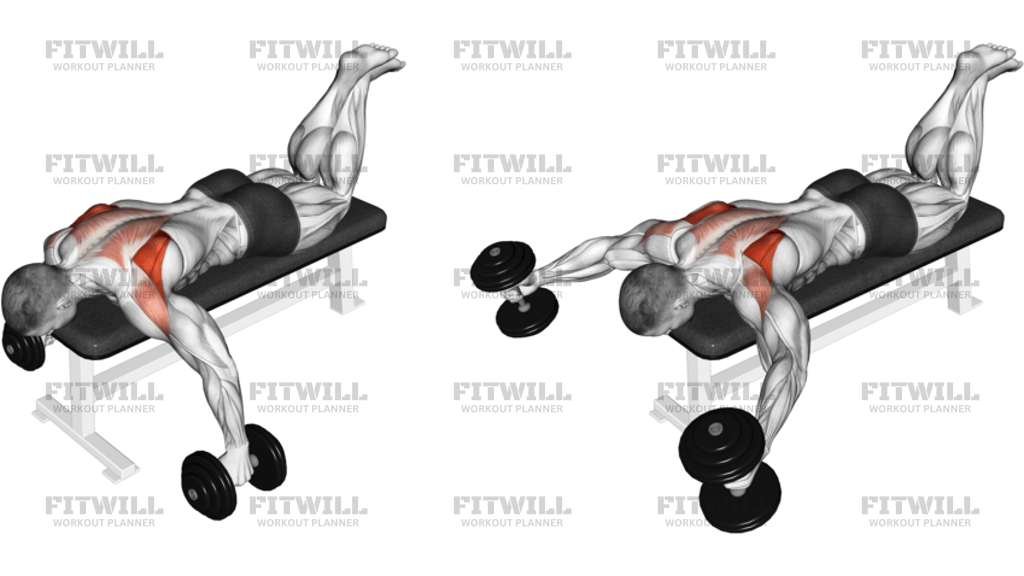 Dumbbell Prone Full Can Exercise