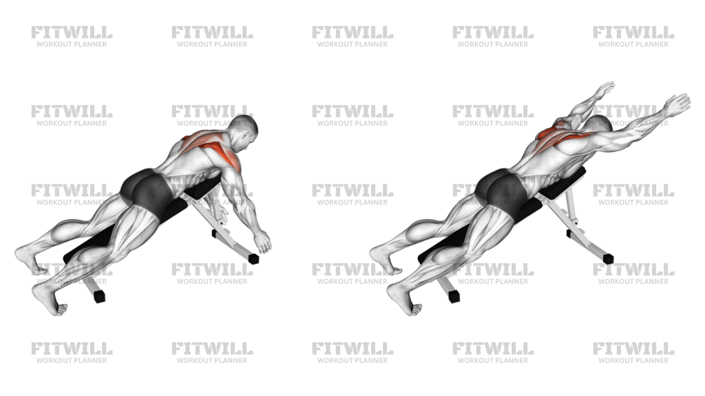 How to do Prone Y Raise: Techniques, Benefits, Tips & Tricks | Fitwill