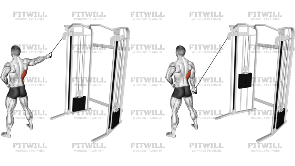 Single-Arm Side Straight Arm Lat Pulldown