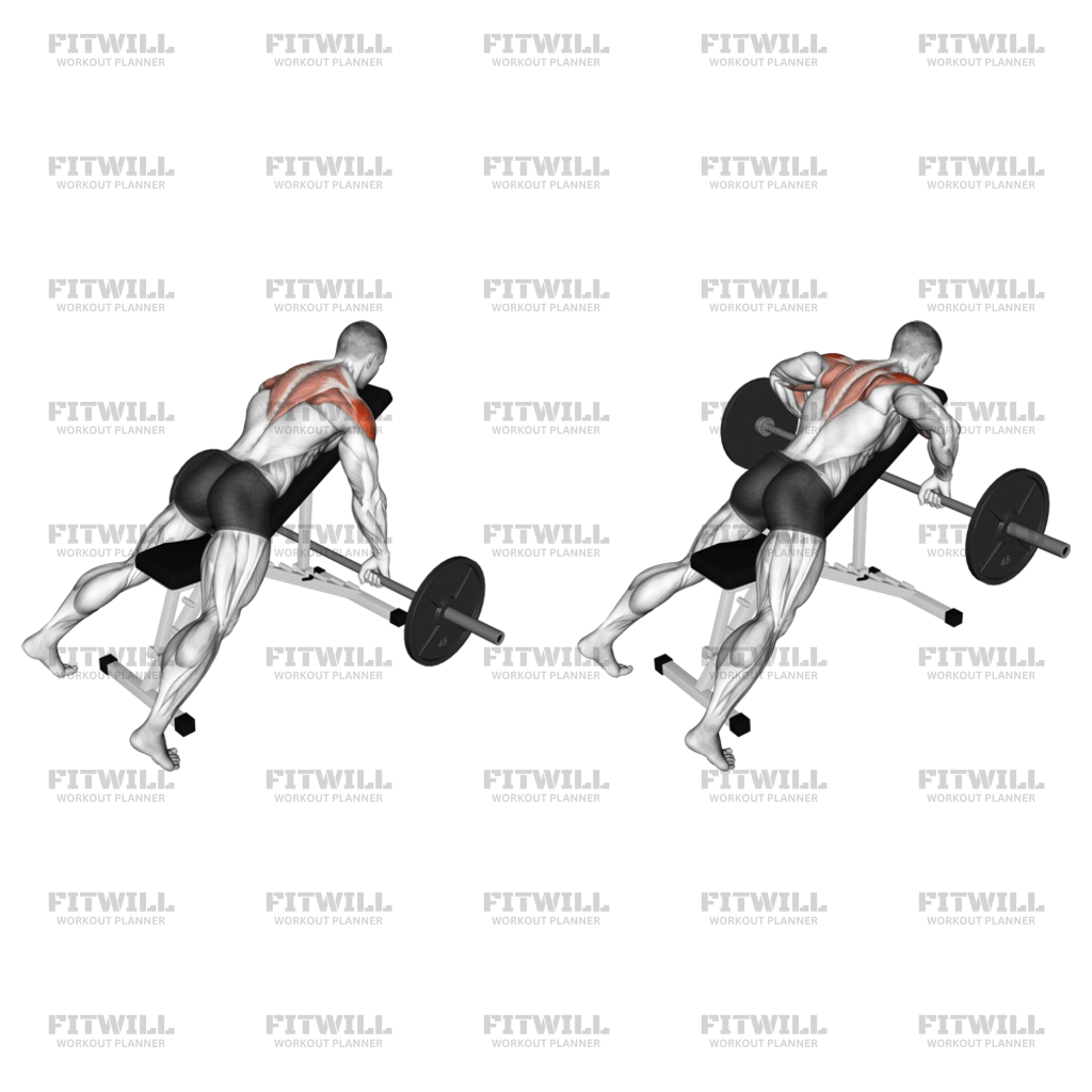 Barbell Incline Rear Delt Row Exercise Guide Video Techniques Benefits How to Muscles Worked Tips Tricks Fitwill