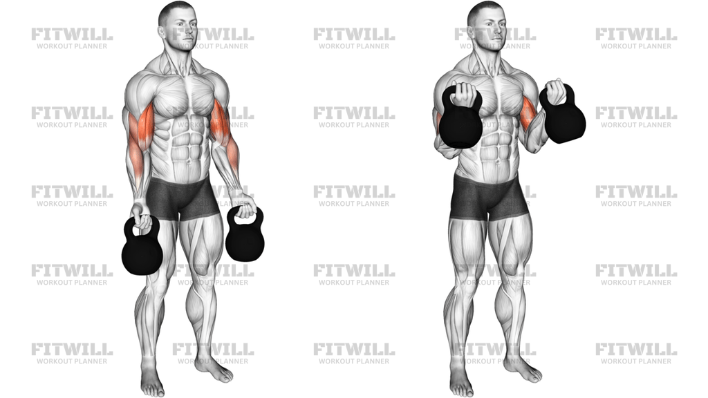 Kettlebell Biceps Curl