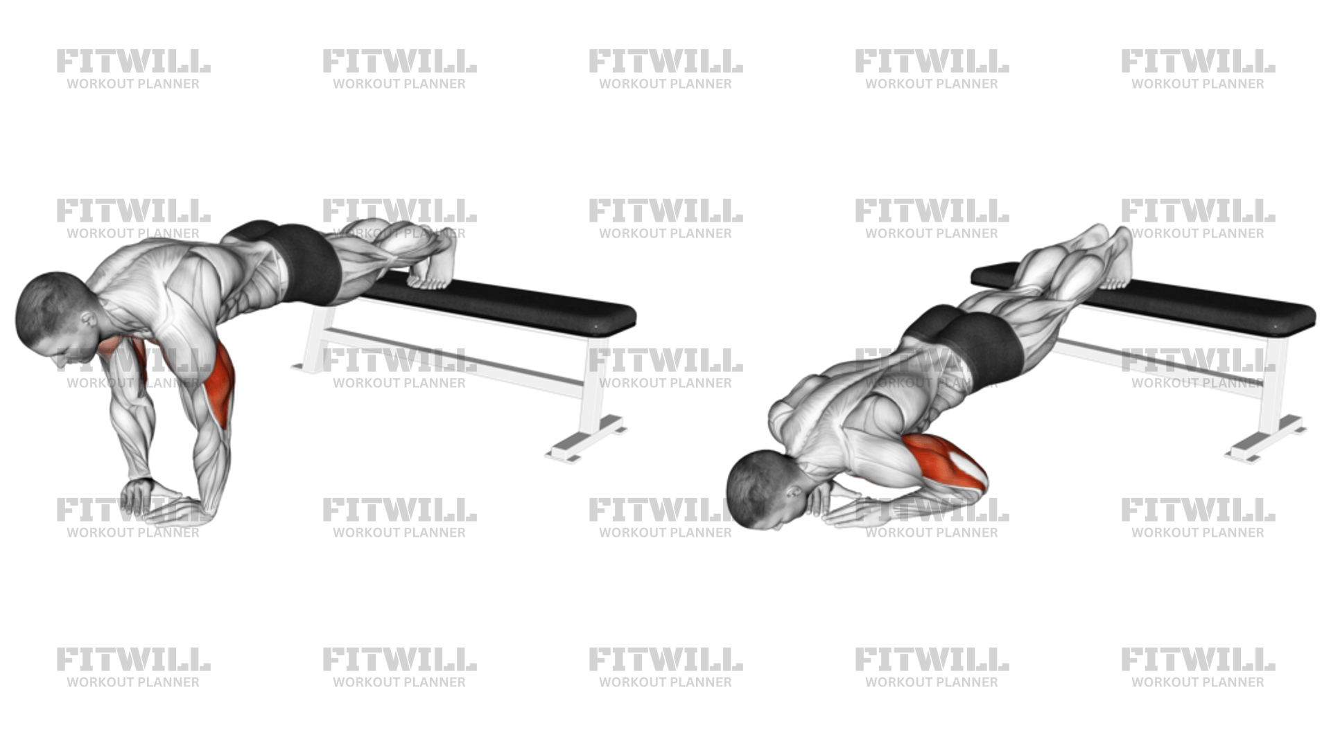 Decline Diamond Push up Exercise Guide Video Techniques Benefits How to Muscles Worked Tips Tricks Fitwill