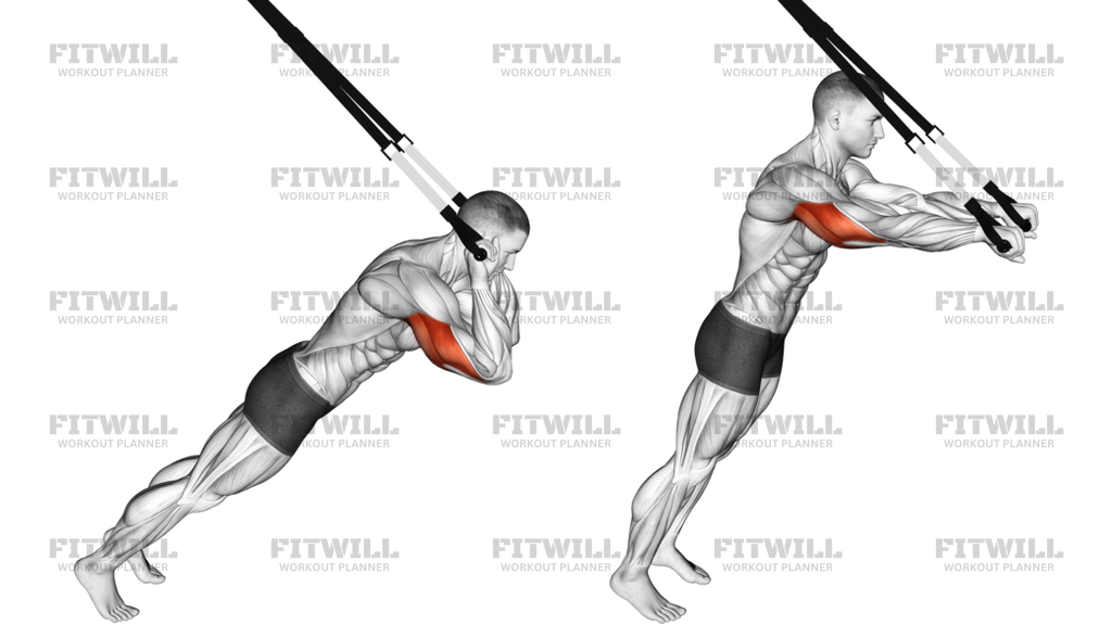 Suspension Triceps Extension