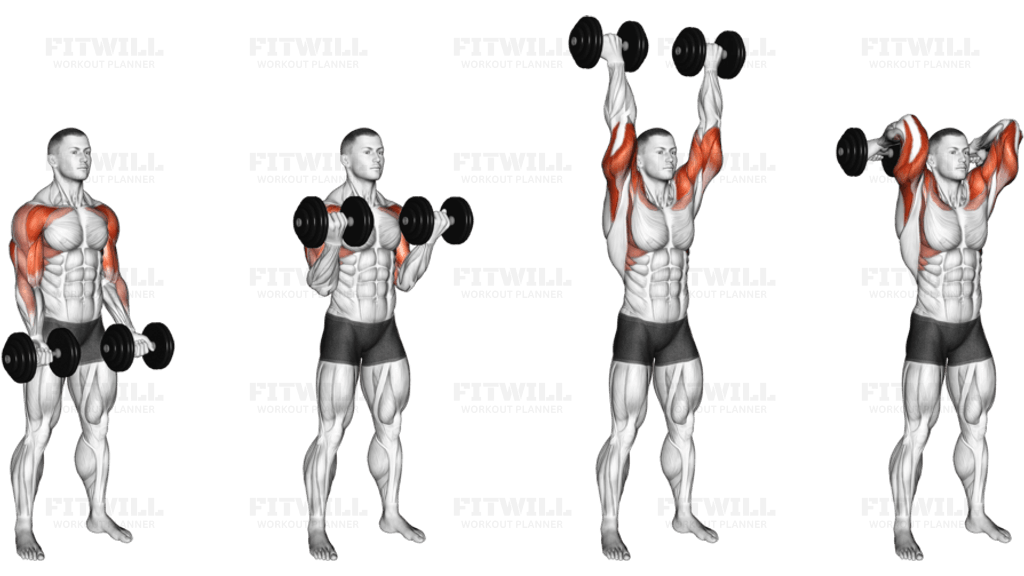 Dumbbell Curl Press Extension