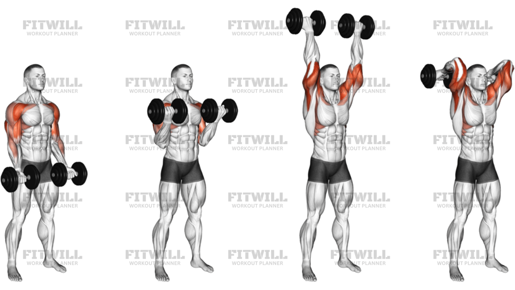 Dumbbell Curl Press Extension