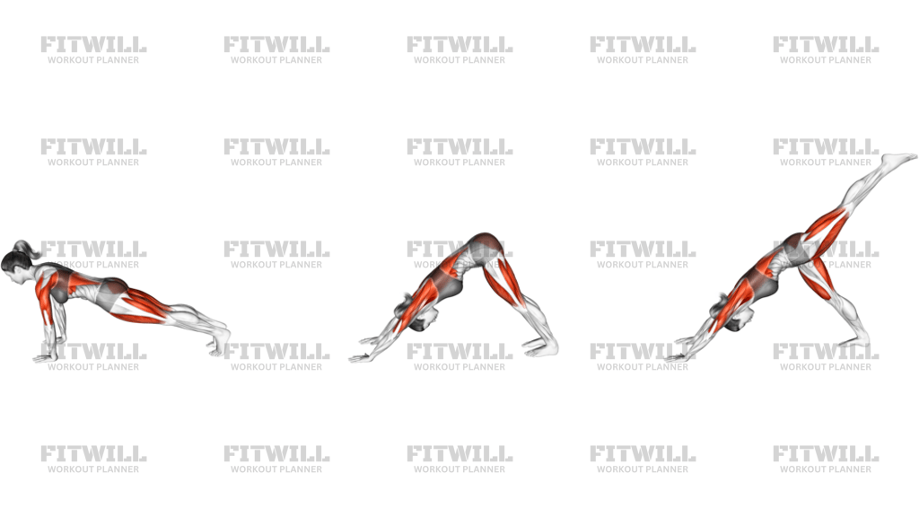 3 Leg Dog Pose