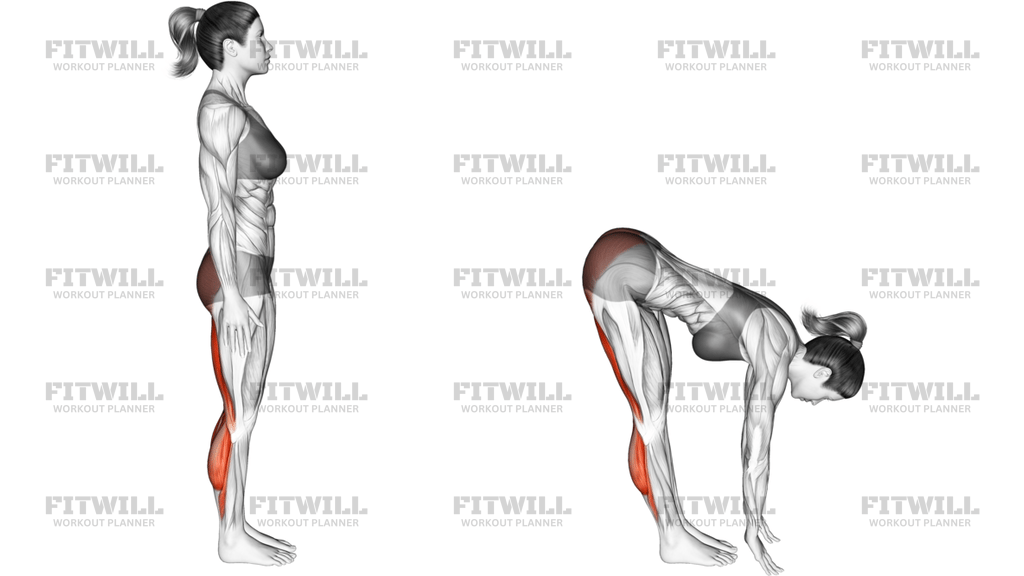 Standing Half Bend