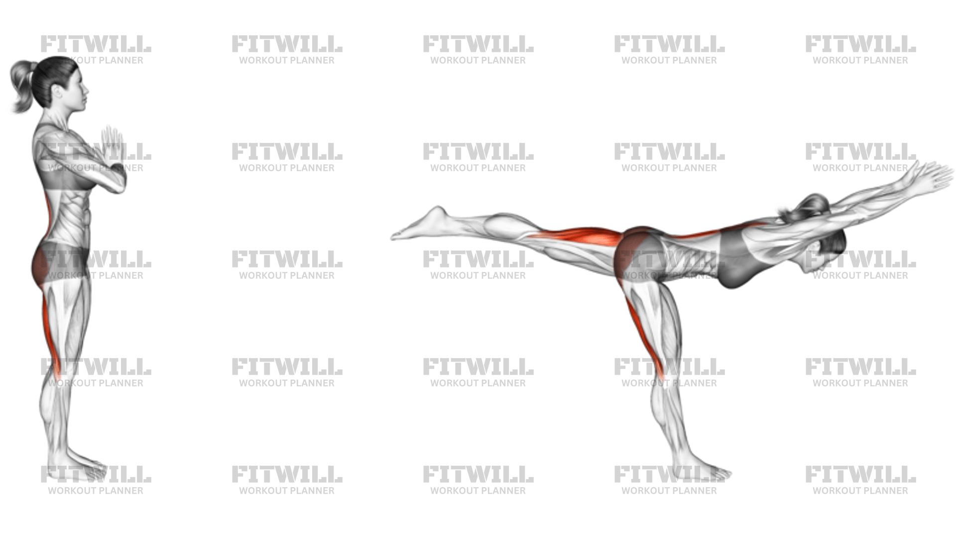 Warrior III Pose: Exercise Guide, Video, Techniques, Benefits, How to ...