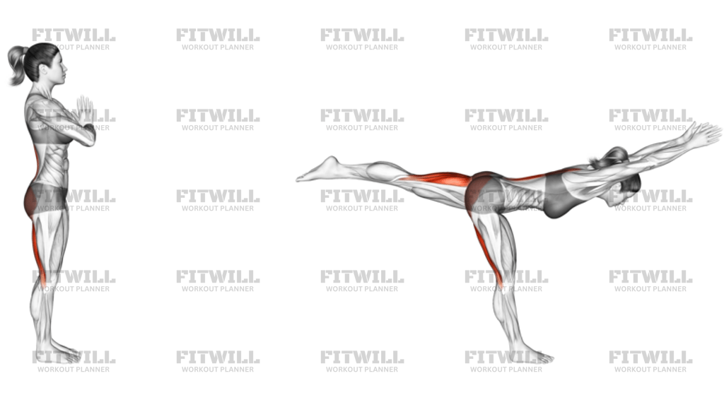 Warrior III Pose
