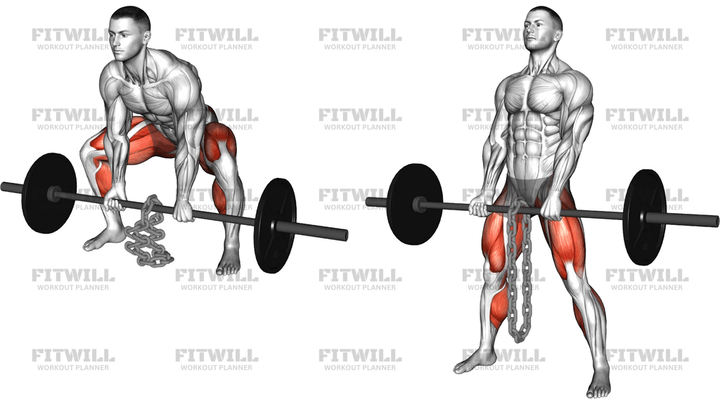 Barbell Weighted Chains Sumo Deadlift